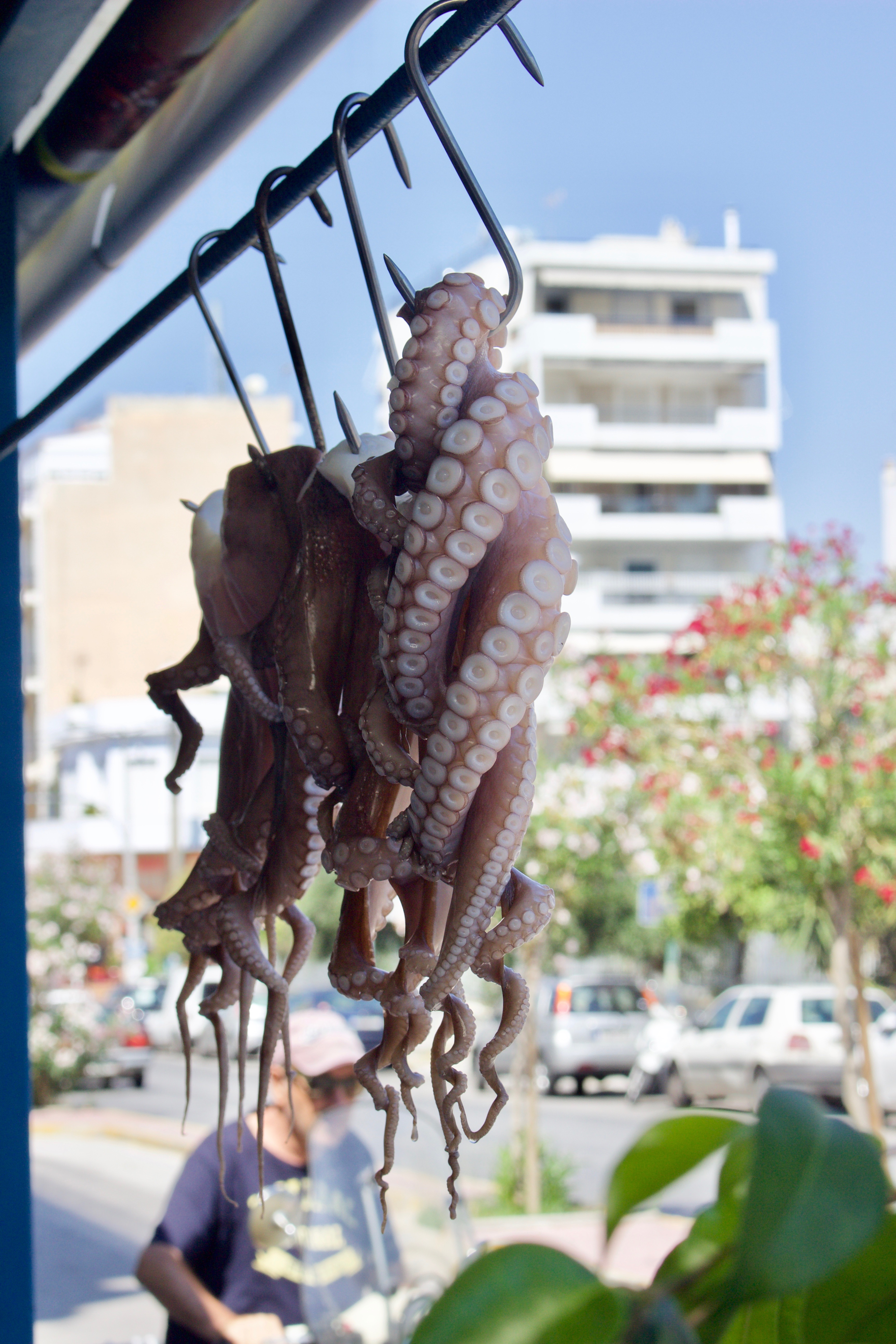 O Giannis Fish Tavern octopus
